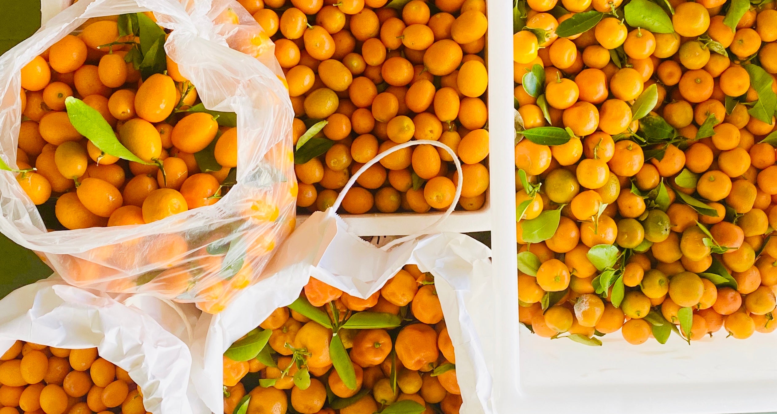 Pickled Cumquats
– Cornersmith