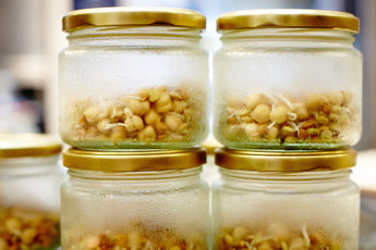 How to: Soak and ferment grains