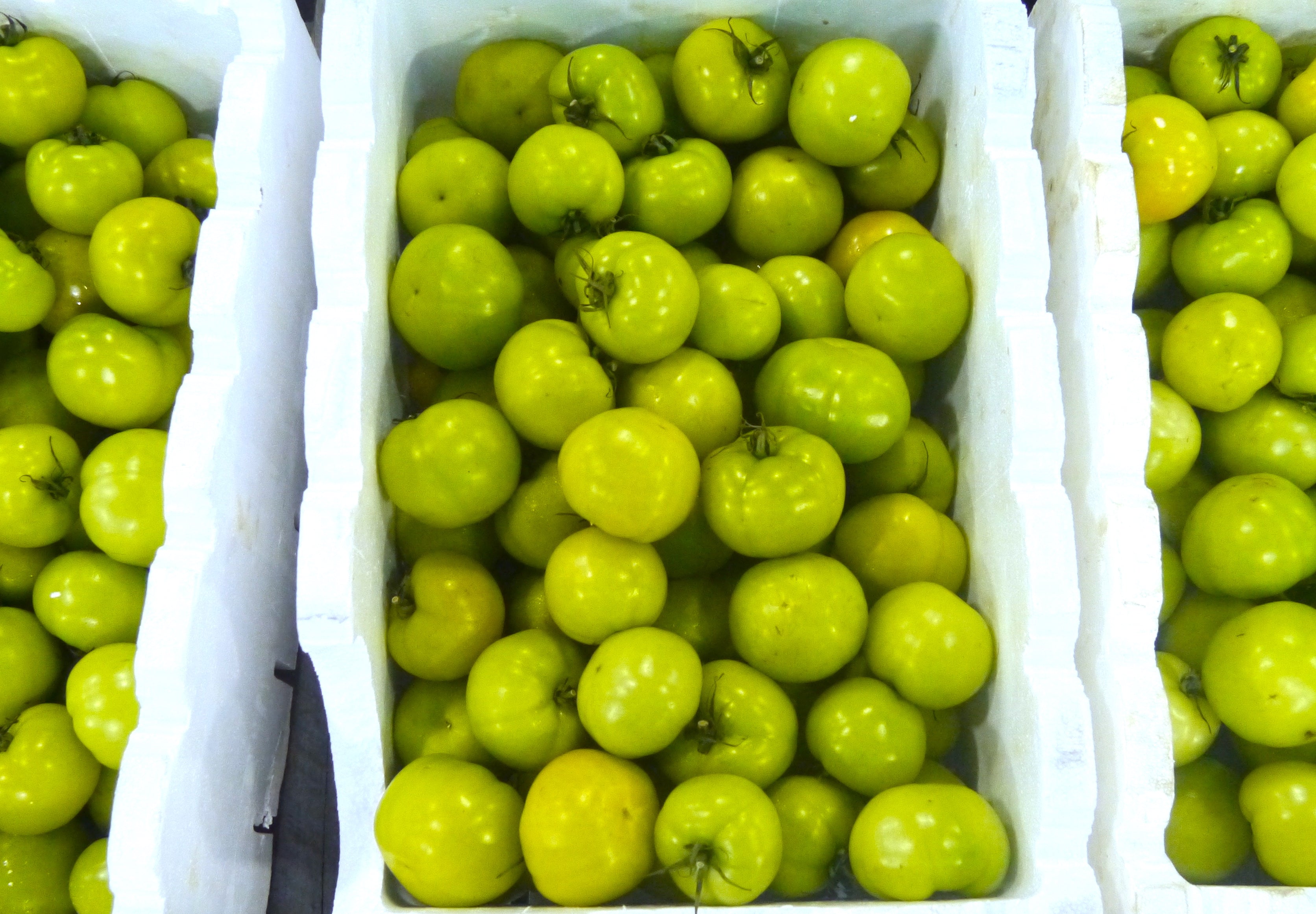 Green Tomato Hot Sauce Cornersmith